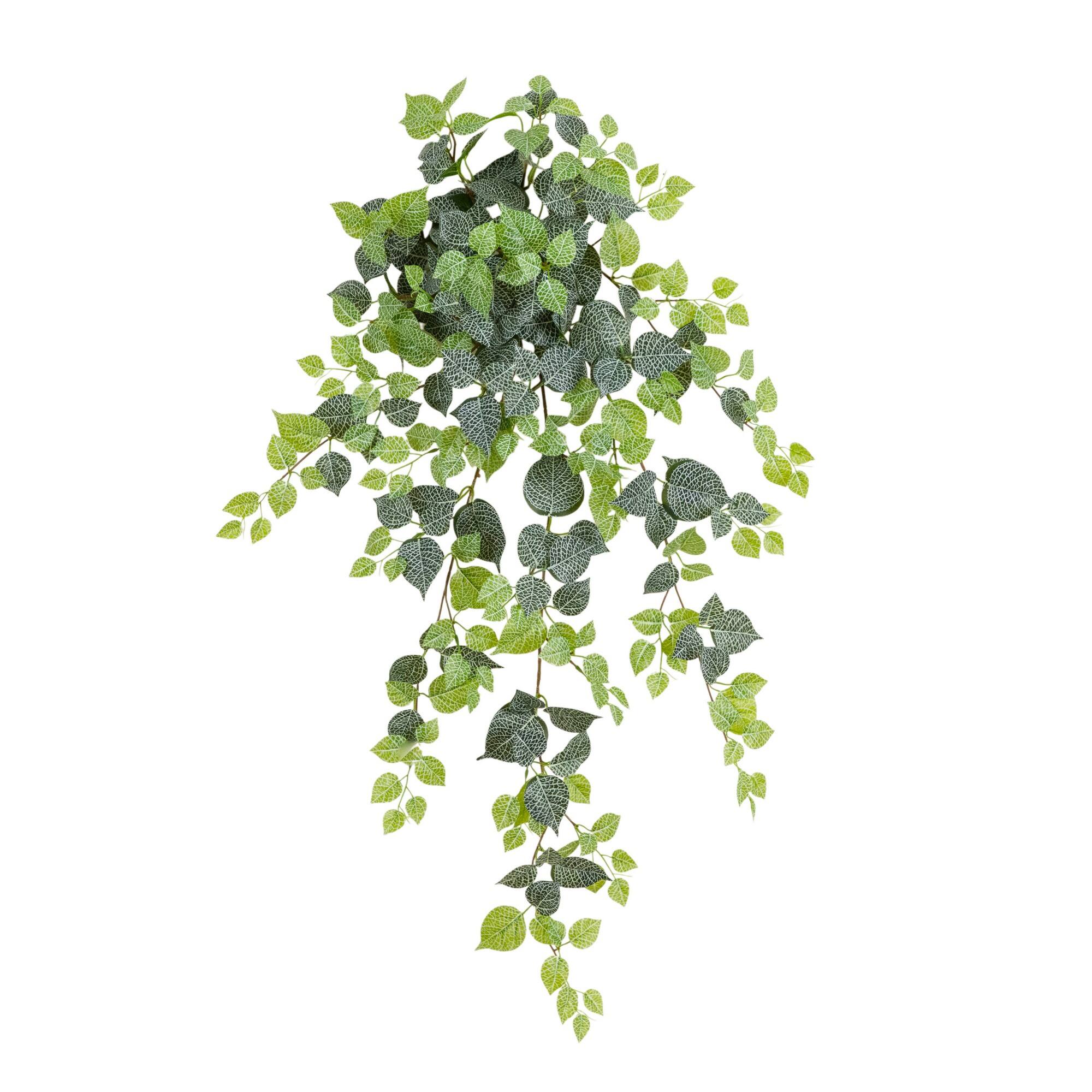 41" UV Resistant Artificial Fittonia Hanging Plant (Indoor/Outdoor) - Set of 3